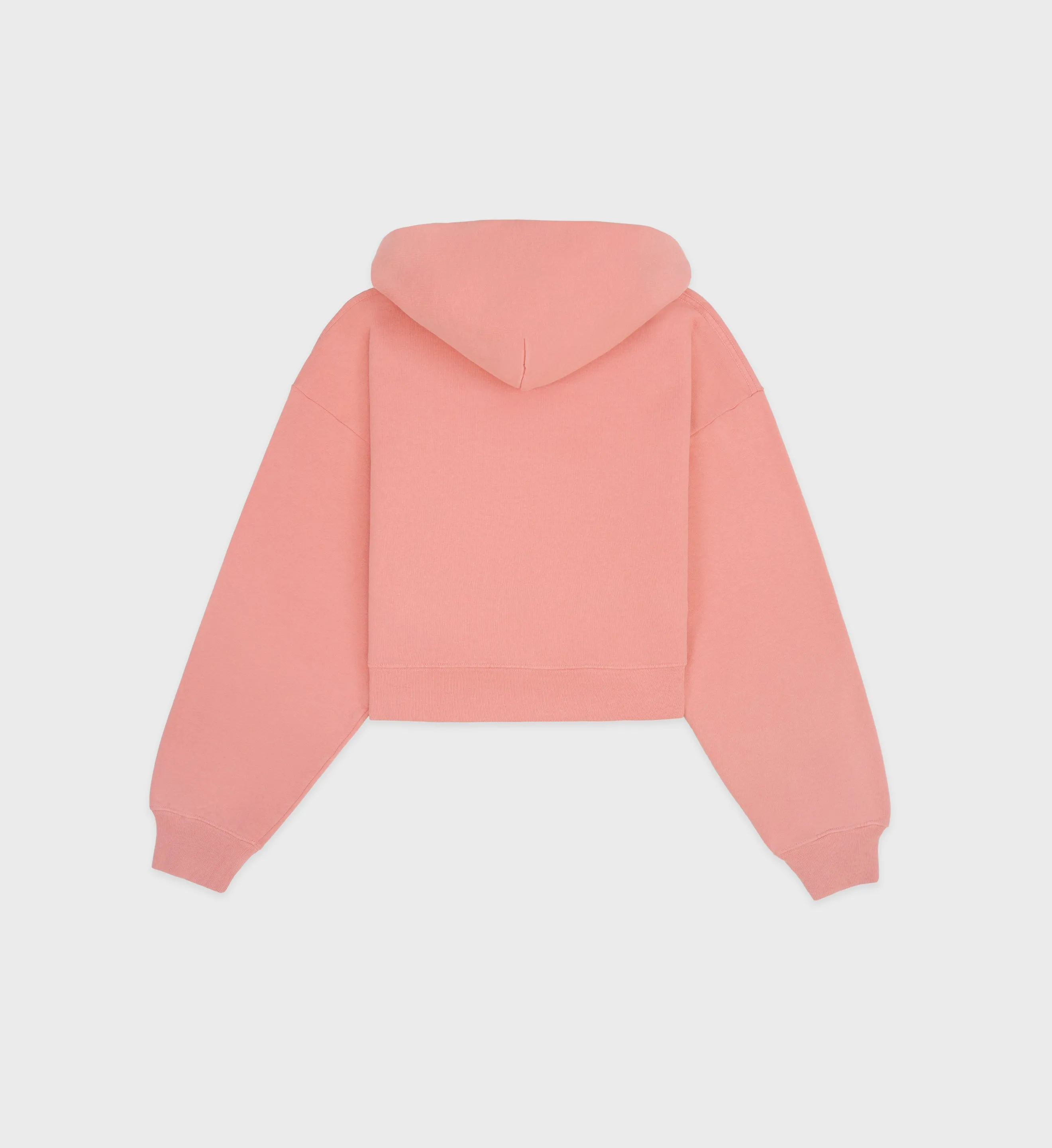 Wellness Ivy Cropped Hoodie - Salmon/White